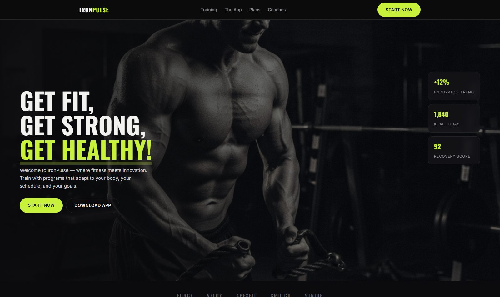 IronPulse &mdash; live project built by Mythox